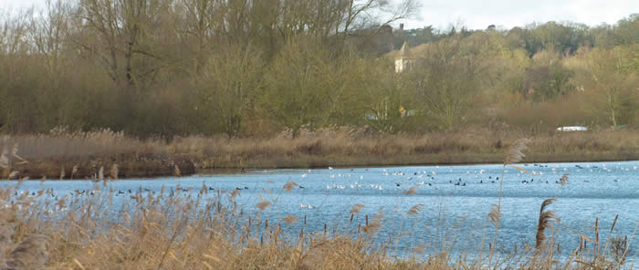 St Andrews Broad 11 Jan 2020