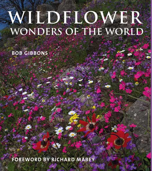 Wildflower Wonders of the World