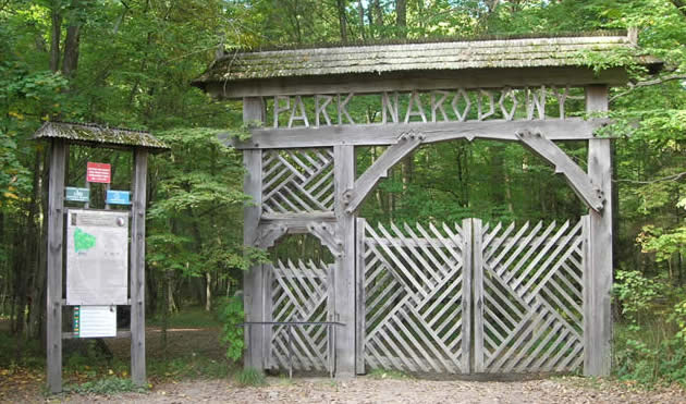 forest entrance