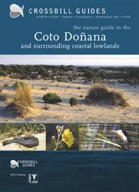 Crossbill Guide Coto Doñana