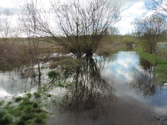 flooding 6 April 2021