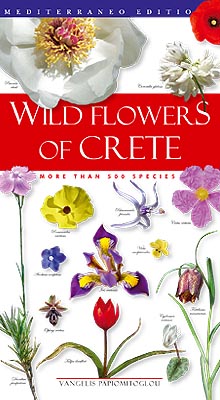 Wild Flowers of Crete