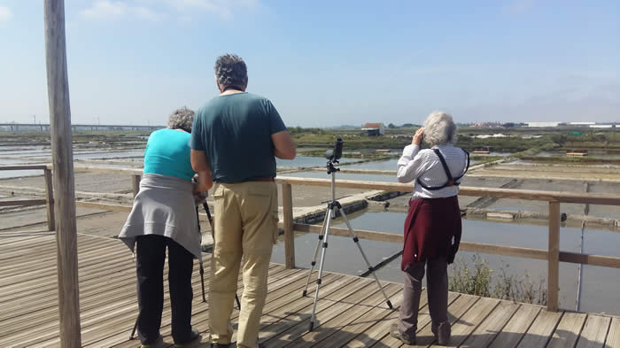 birdwatching on saltpans (SPEA)