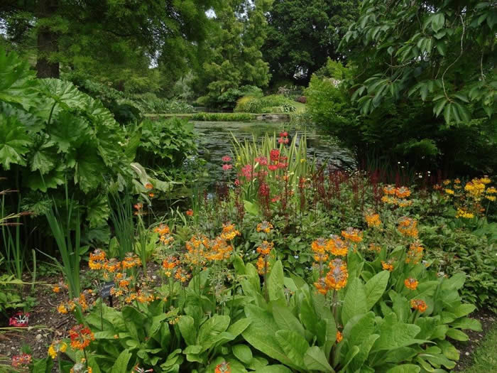 Beth Chatto gardens