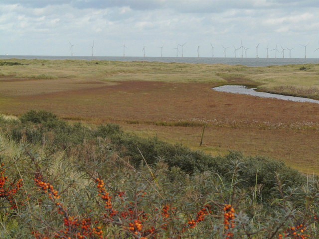 Gibraltar Point