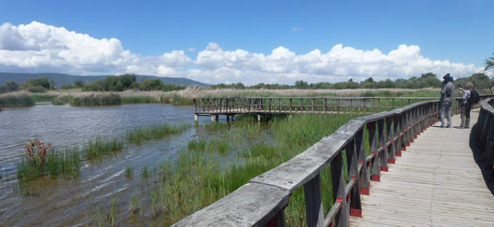 Las Tablas de Damiel National Park