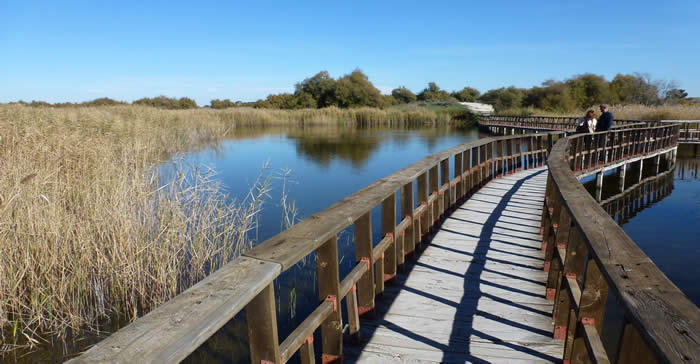 Las Tablas de Damiel National Park