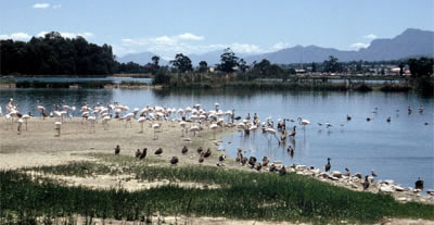 Paarl Nature Reserve