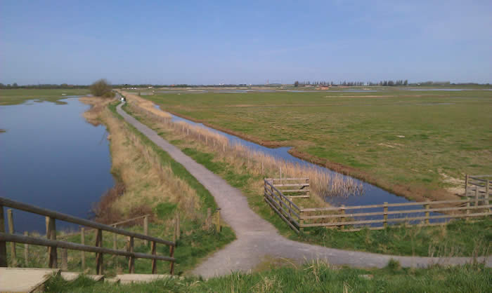 Frampton Marsh