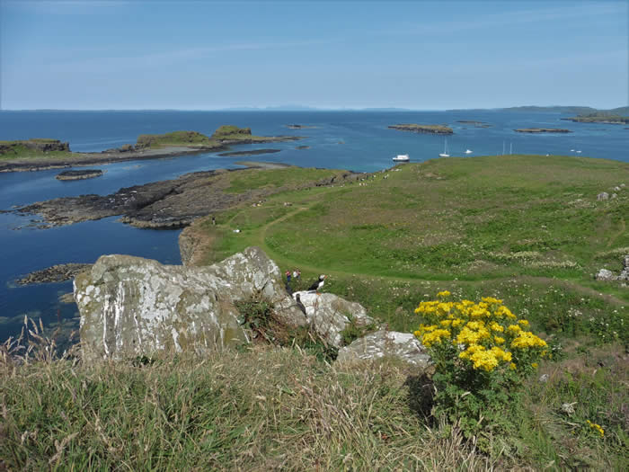 Treshnish Isles