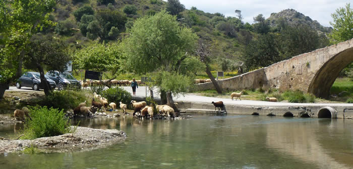 Turkish Bridge, May