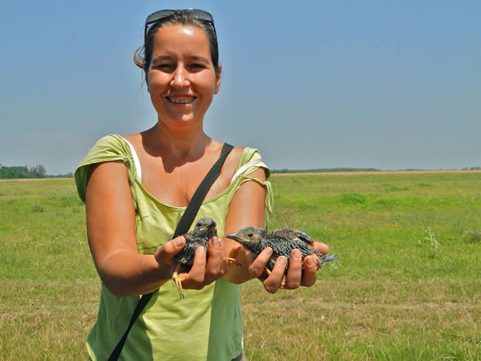Andrea with roller chicks