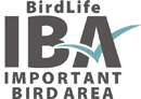 Important Bird Areas