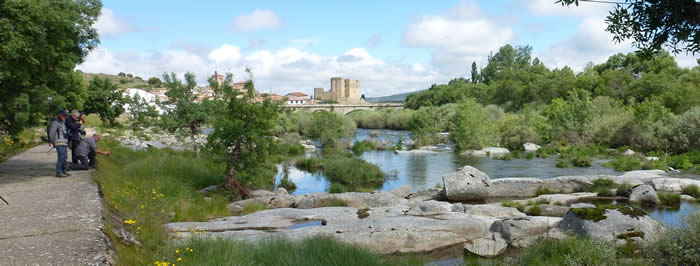 Puente del Congosto
