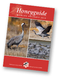 Honeyguide brochure 2012