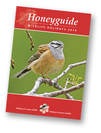 Honeyguide brochure 2014