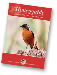 Honeyguide brochure 2016