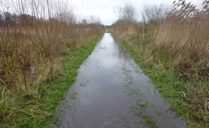 flooded path, 10 December 2024