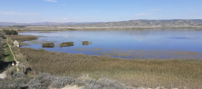 Pitillas lagoon