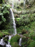 waterfall on 'green cauldron' walk